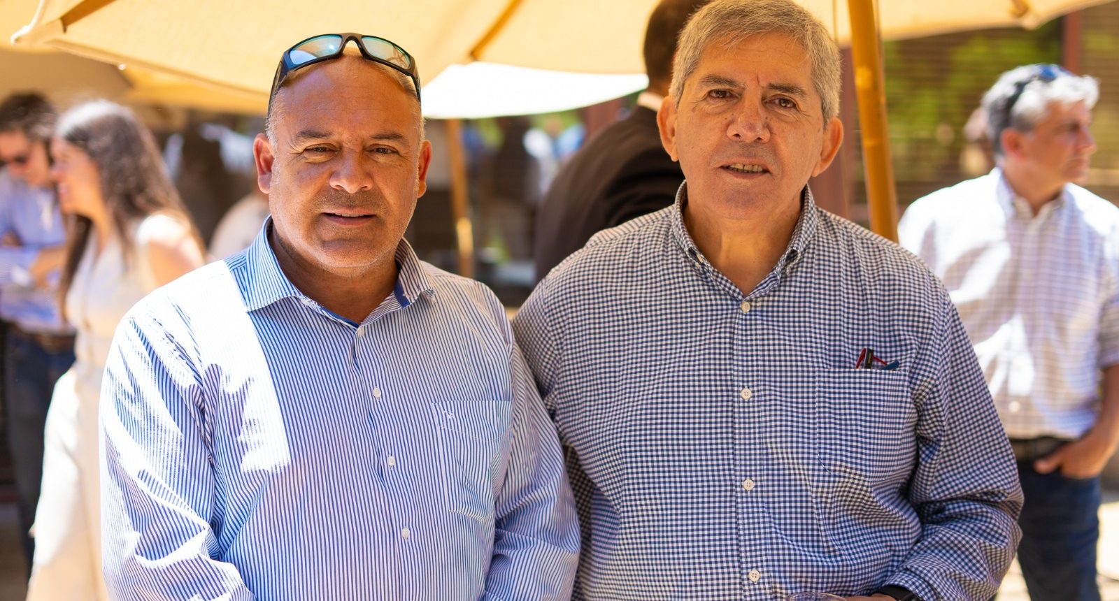 𝘌𝘯𝘤𝘶𝘦𝘯𝘵𝘳𝘰 𝘈𝘯𝘶𝘢𝘭 𝘊𝘖𝘓𝘚𝘈 𝟤𝟢𝟤𝟧-𝟤𝟢𝟤𝟨 - 𝘝𝘪ñ𝘢 𝘔𝘢𝘵𝘦𝘵𝘪𝘤 - 11